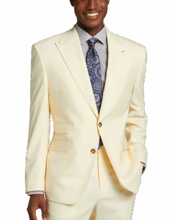 Tayion Classic Fit Suit Separates Coat, Cream