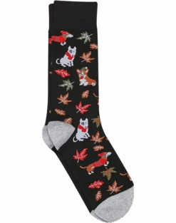 Egara Socks, Dogs And Fall Leaves