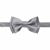 Egara Boys Bow Tie, Silver